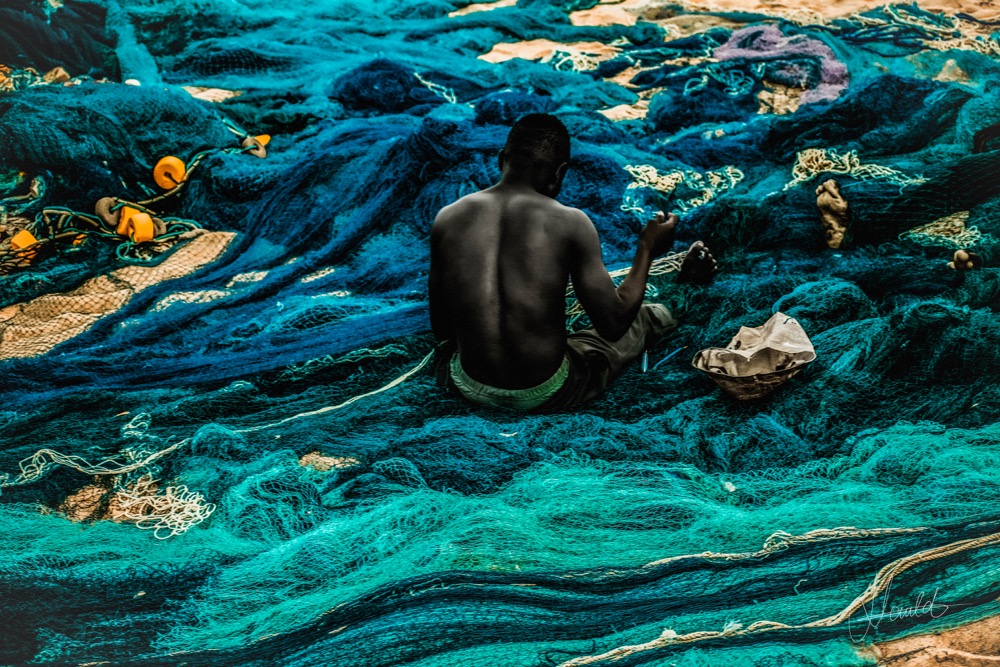Le Tisseur de filets, Collection, Nauld Adjahuime