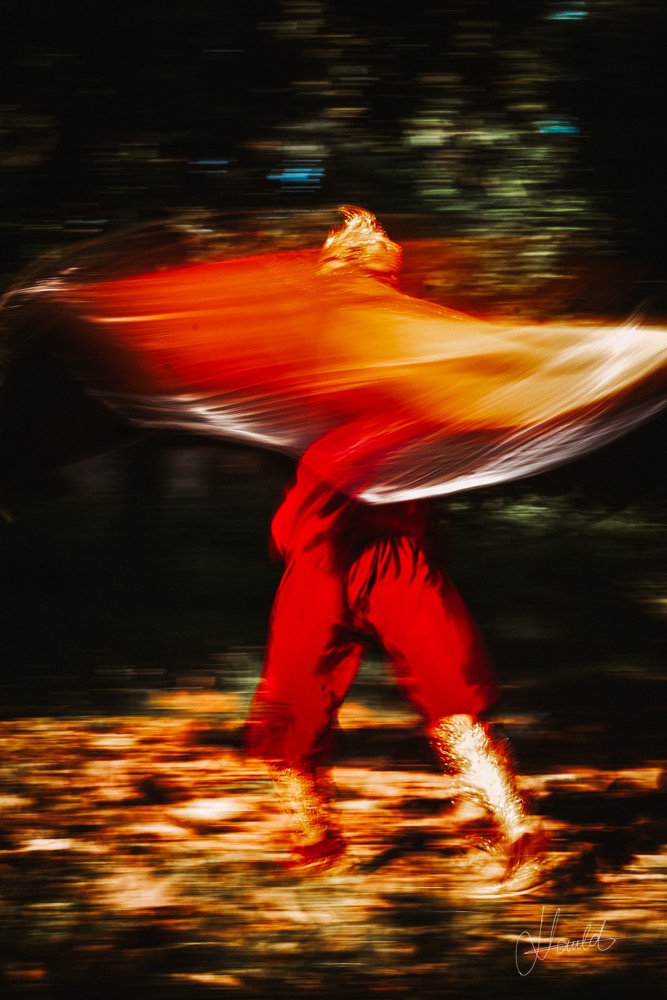 Éclat Ancestral, Mouvement Sacré des Âmes, Nauld Adjahuime