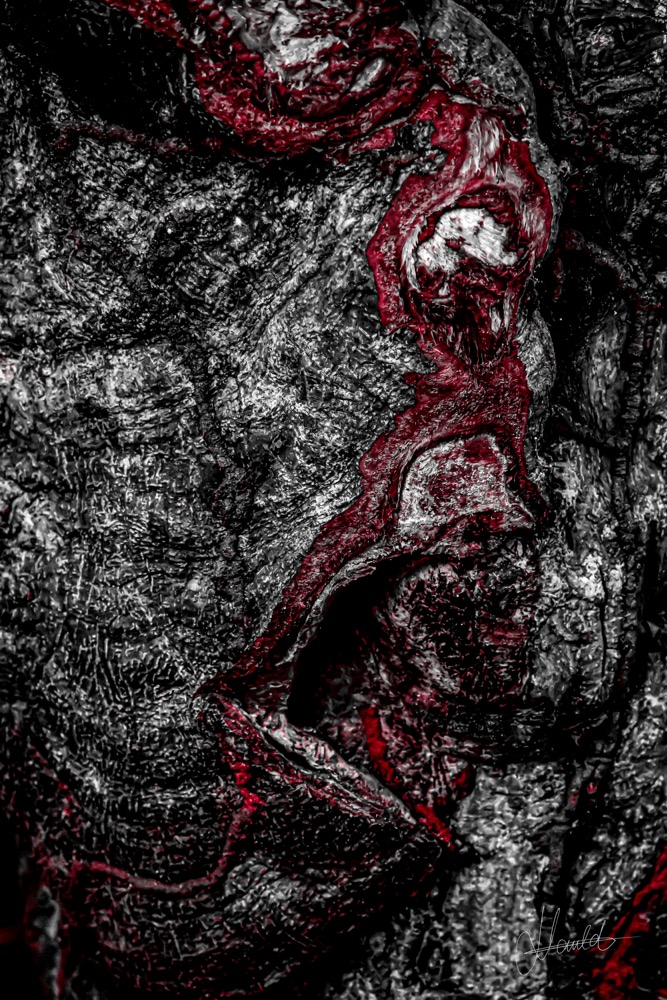 La Cicatrice du Silence, Nature Divinité, Nauld Adjahuime