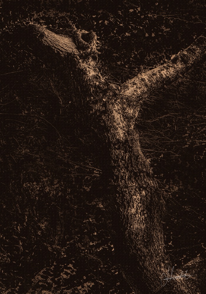 L'Ascension, Nature Divinité, Nauld Adjahuime