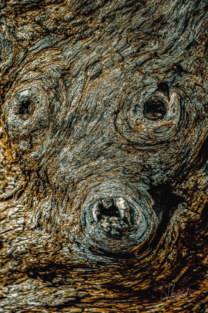 L'Ancêtre Endormi, Nature Divinité, Nauld Adjahuime