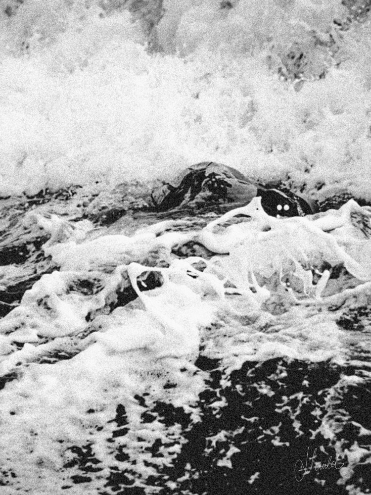 Écorce d'Écume, Vibration Côtière, Nauld Adjahuime