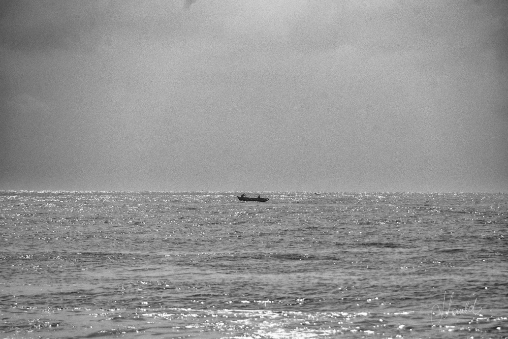 Persistance, Vibration Côtière, Nauld Adjahuime