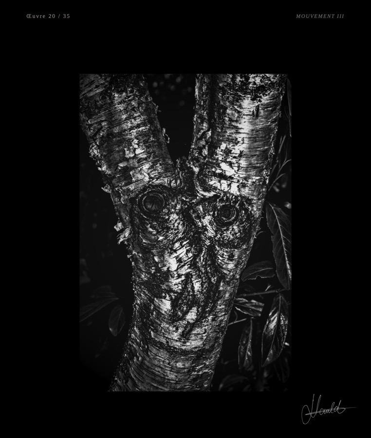 Le visage dans l'écorce, Vestiges Sacrés, Nauld Adjahuime